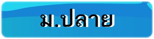 ม.ปลาย