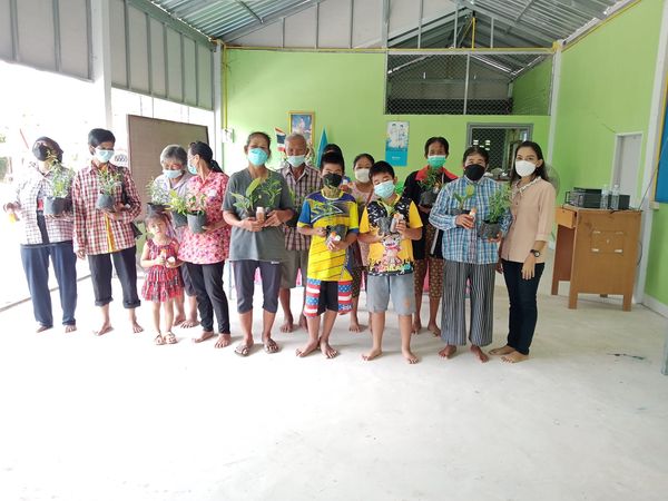 พืช1