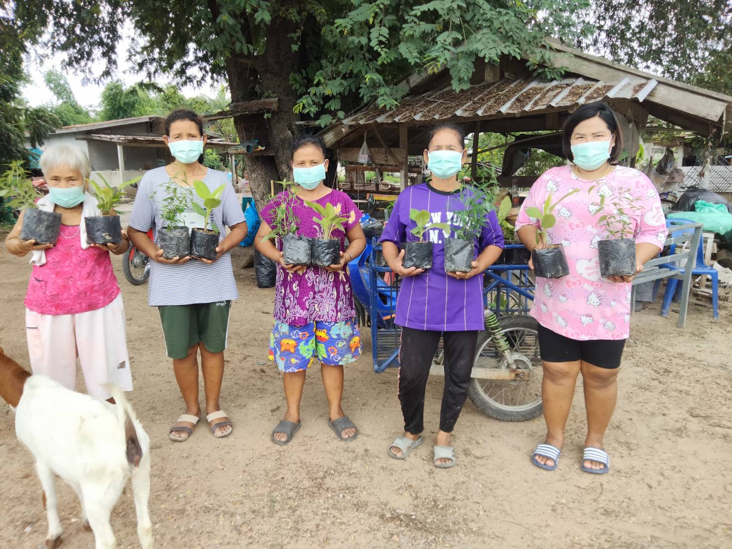 สนใจ4