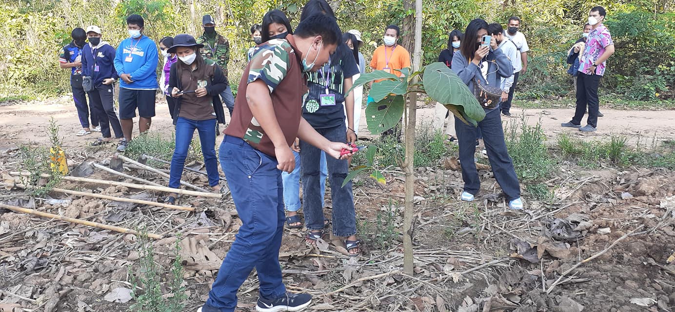 274711648 335604138494613 4476556726949453070 n