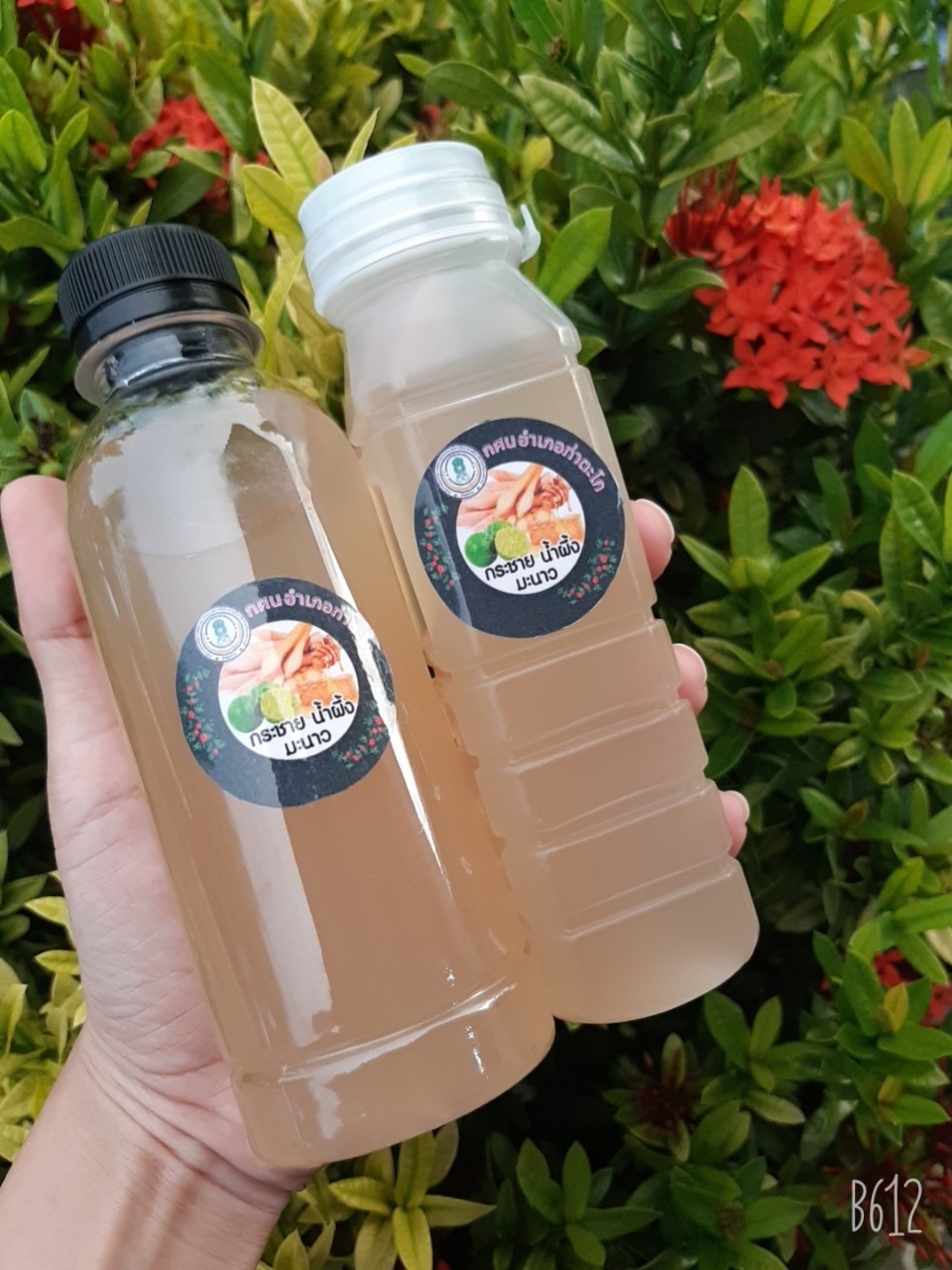 LINE ALBUM พอเพียงหนองกระโดน ๒๑๐๙๑๓ 59