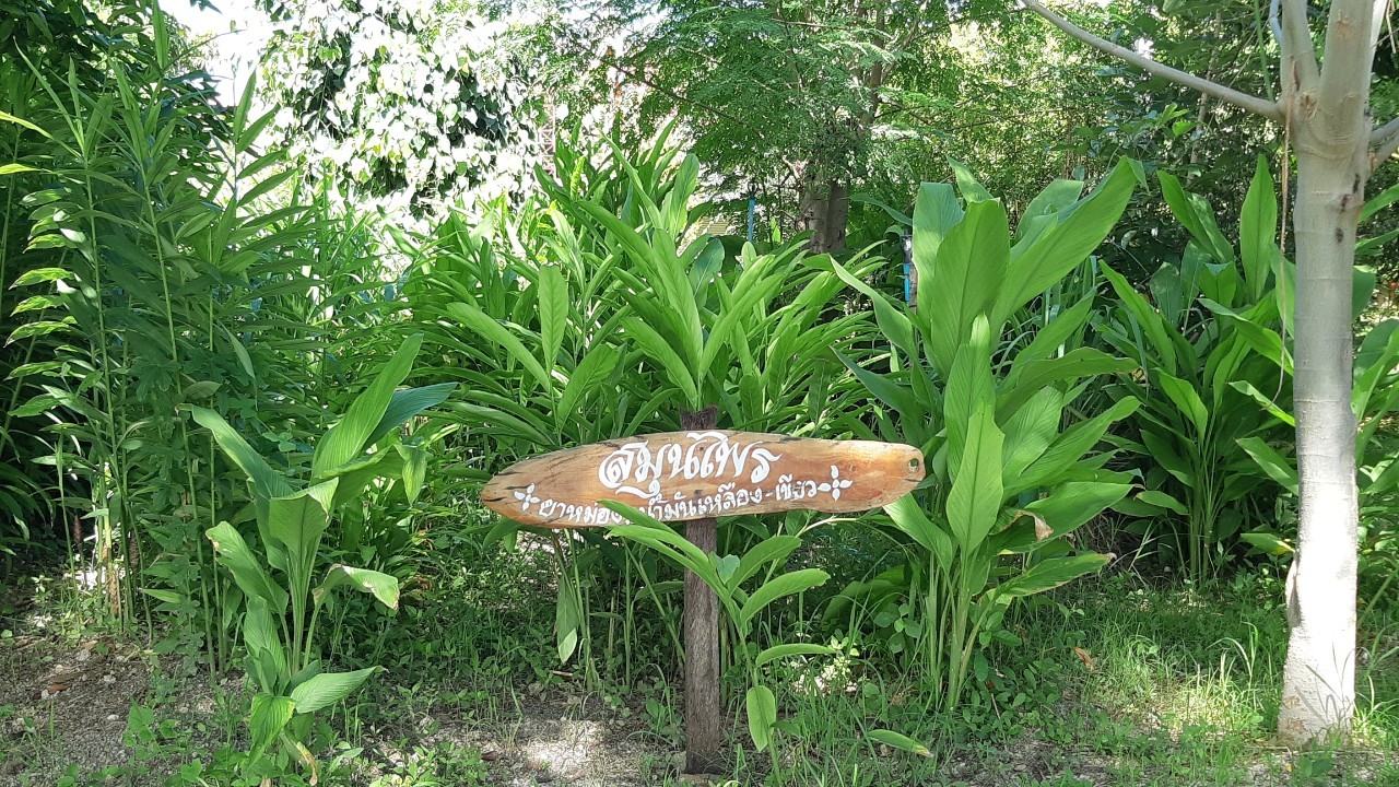 LINE ALBUM พัฒนาสังคม ๒๑๐๙๑๓ 11