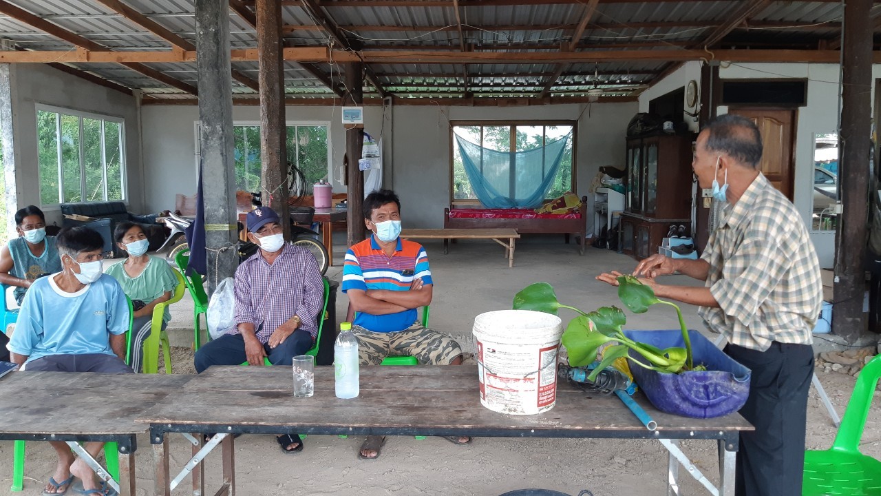 การเลี้ยงหอยเชอรี่ ๒๑๐๖๑๘ 47