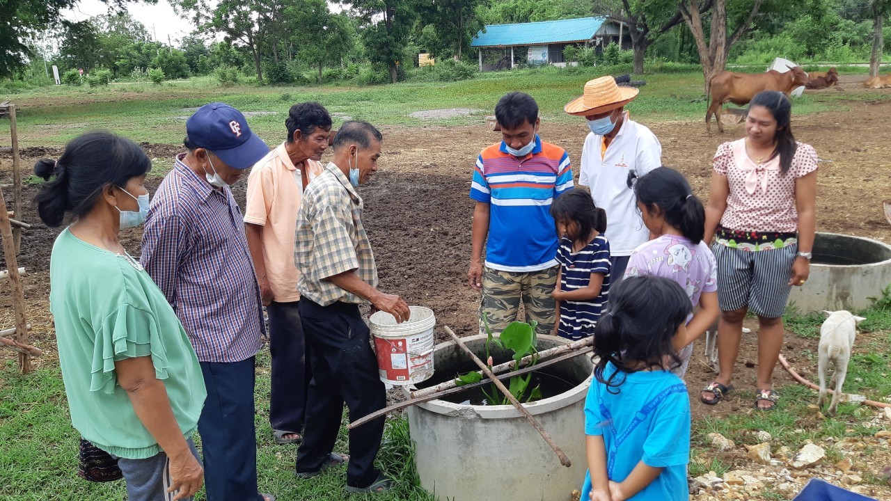 การเลี้ยงหอยเชอรี่ ๒๑๐๖๑๘ 7