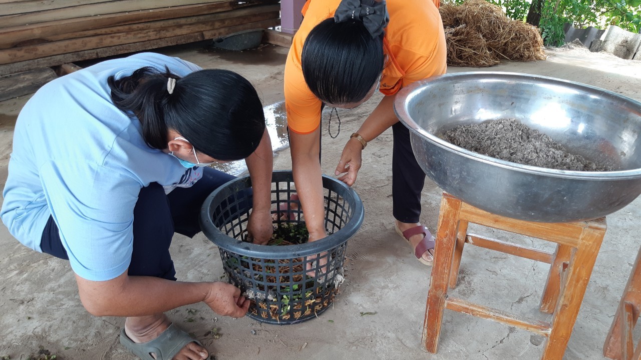 การเพาะเห็ดฟาง ๒๑๐๖๑๘ 23