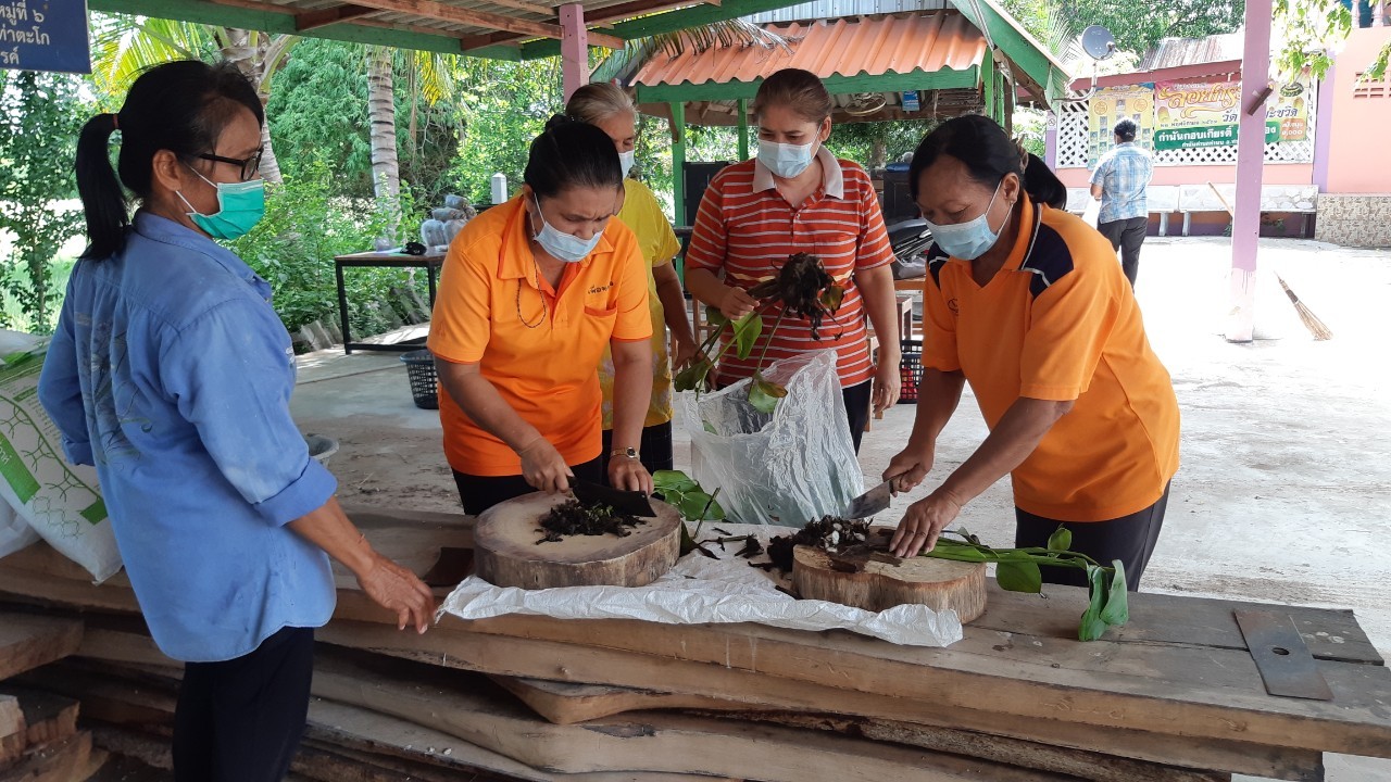 การเพาะเห็ดฟาง ๒๑๐๖๑๘ 51