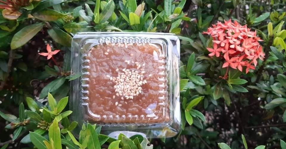 279530193 342842534607762 8044126629019862230 n