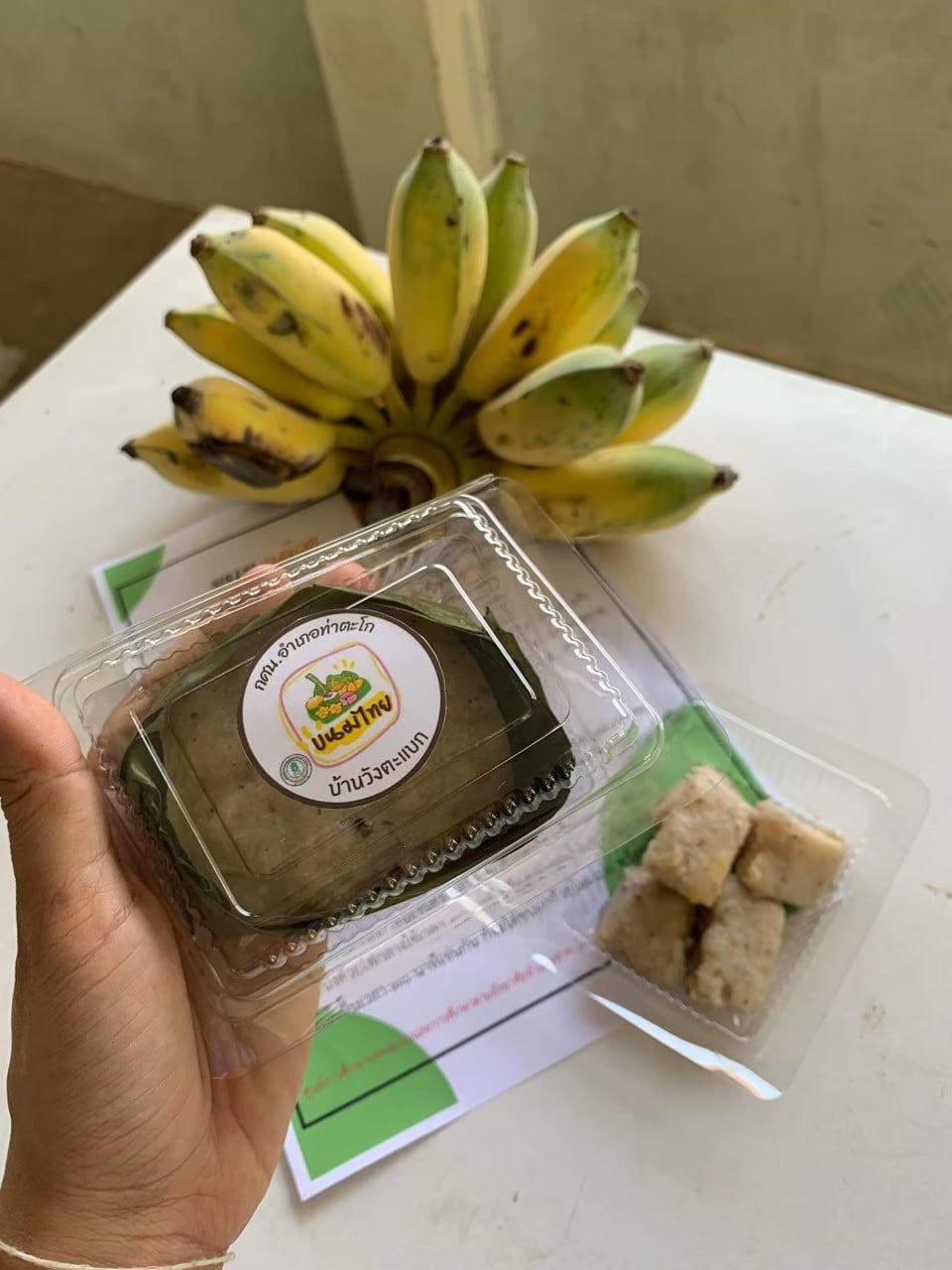 279631186 342845091274173 6132558440129308666 n