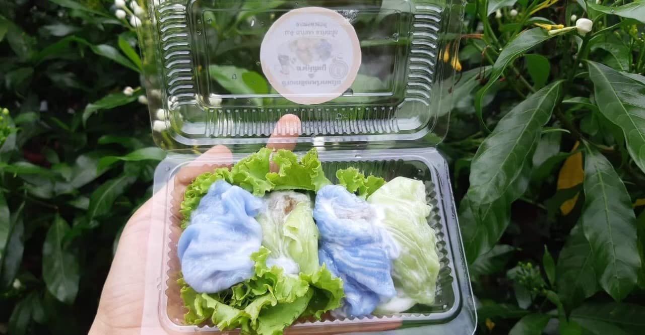 307029816 443731951185486 2185112608435080748 n