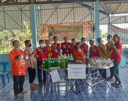 311246256 447817997443548 8155898485678907066 n