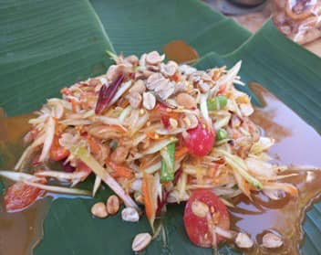 311110679 447824064109608 8141042231075665590 n